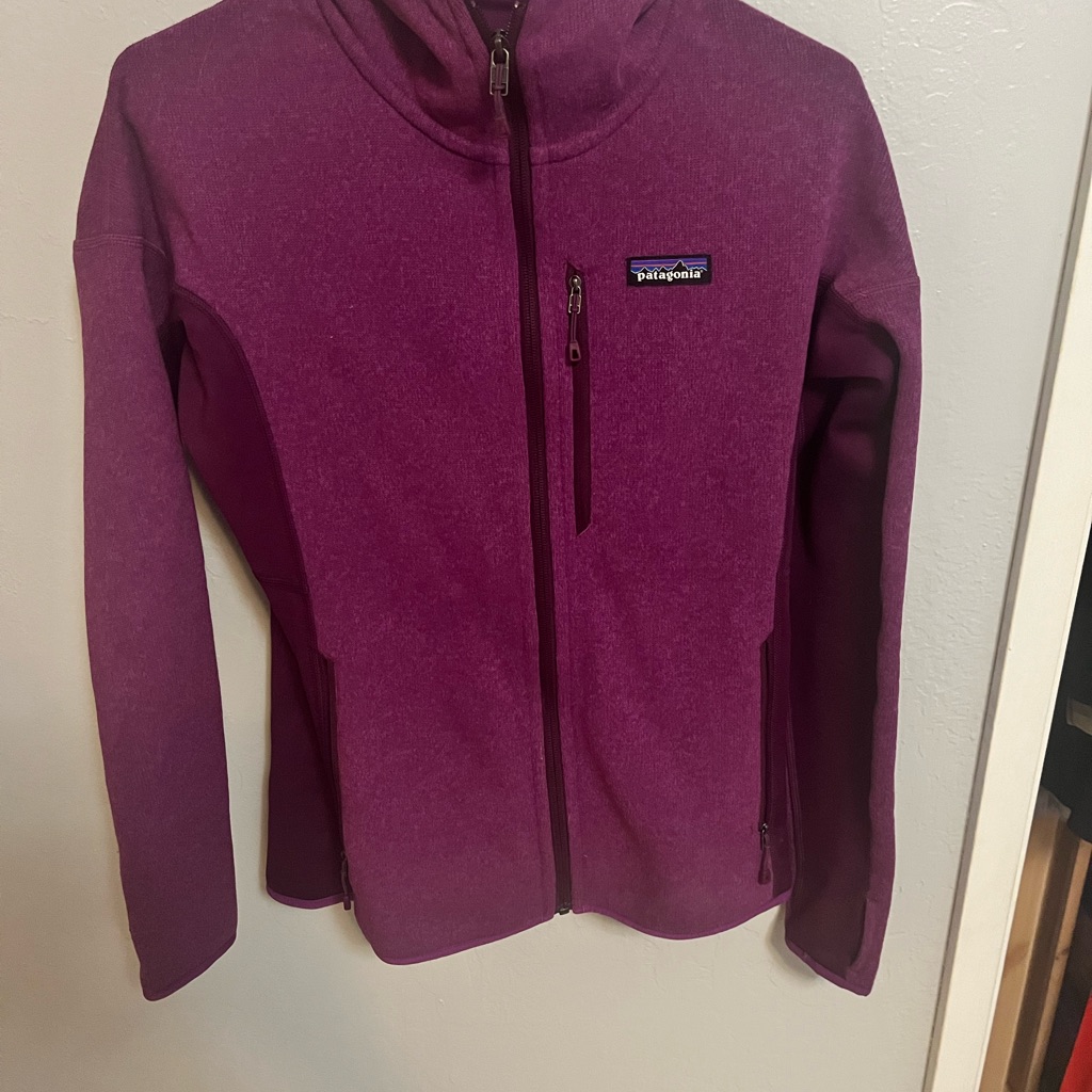 New Patagonia Better Sweater Fleece Hoody